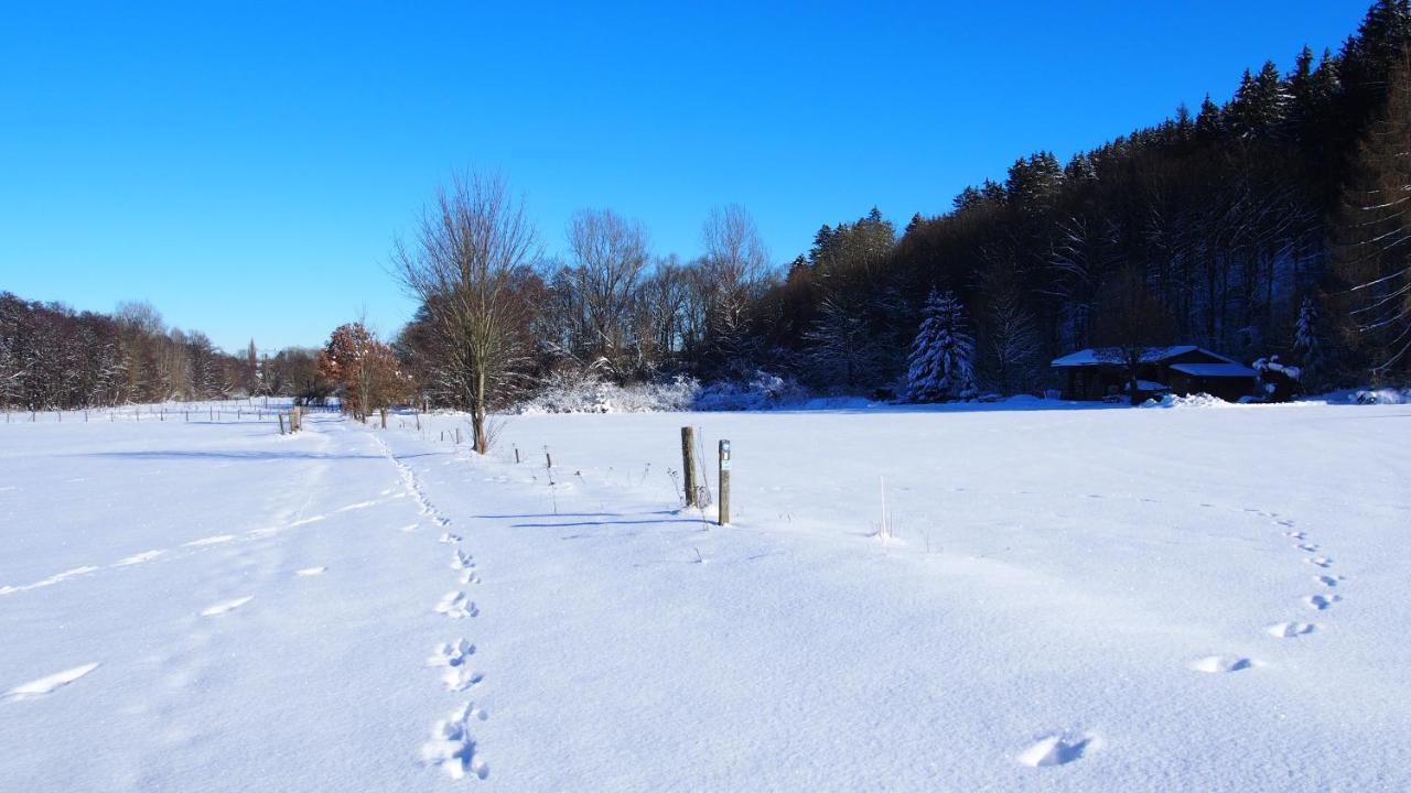 Fewo Talula - Sauerland Mit Hund Medebach Εξωτερικό φωτογραφία