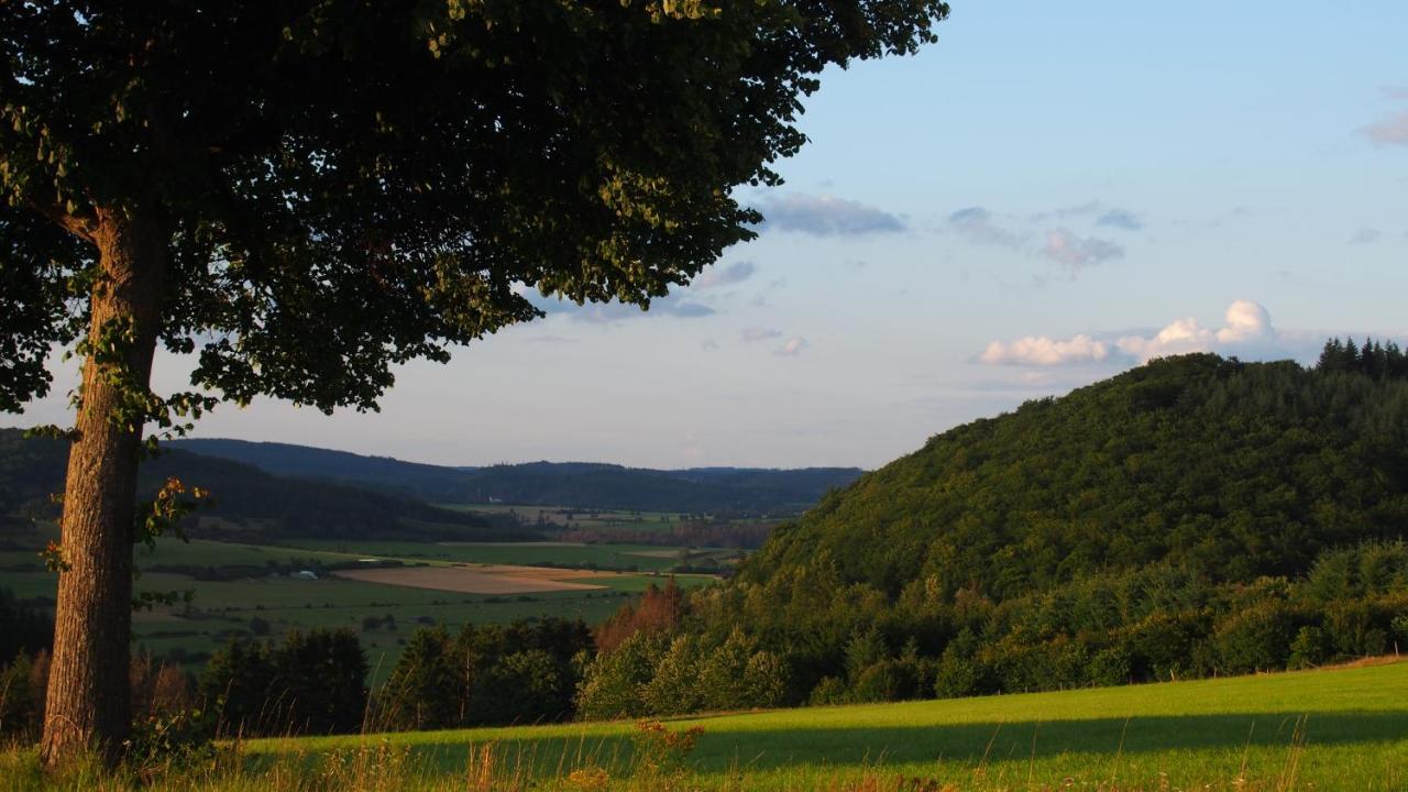 Fewo Talula - Sauerland Mit Hund Διαμέρισμα Medebach Εξωτερικό φωτογραφία